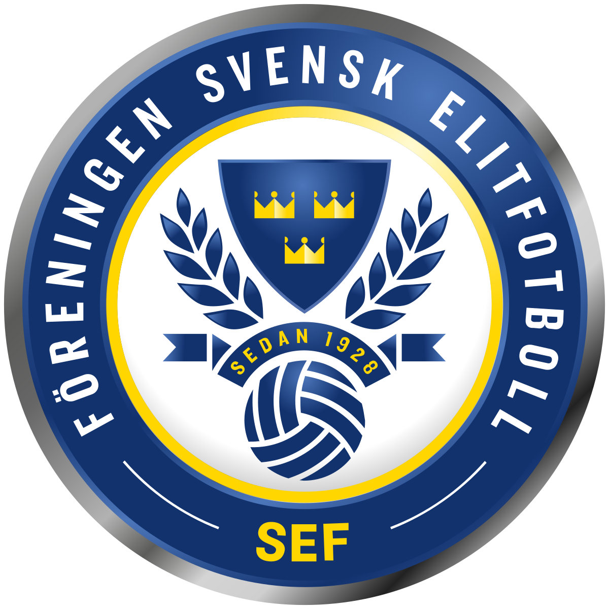 Swedish Professional Football Leagues - European Football for Development Network